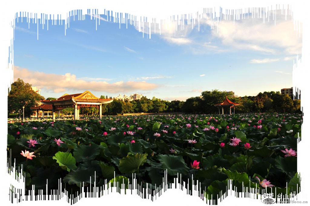 DSC_7669_conew1.jpg