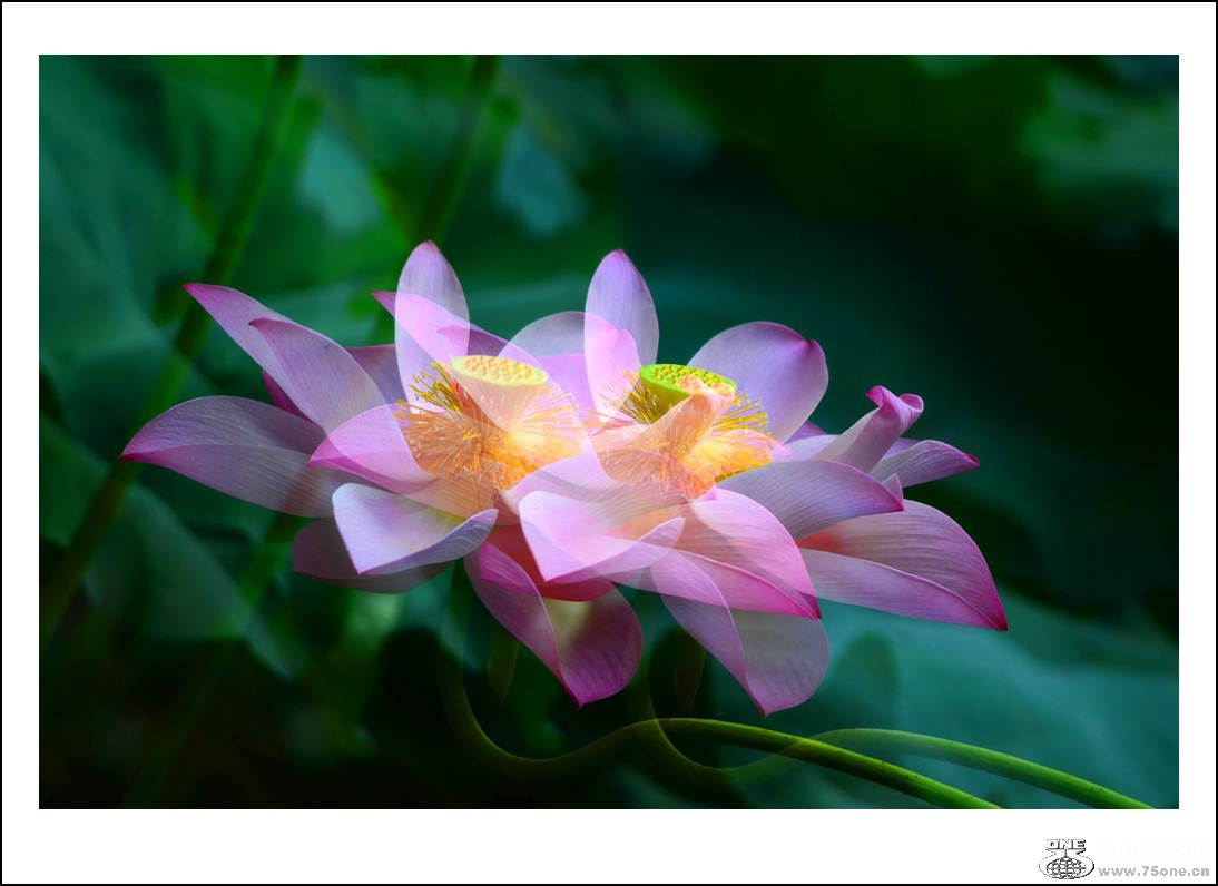 DSC_0283_conew1.jpg