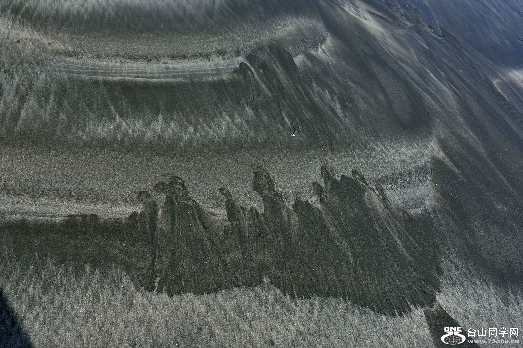 DSC_2782.jpg