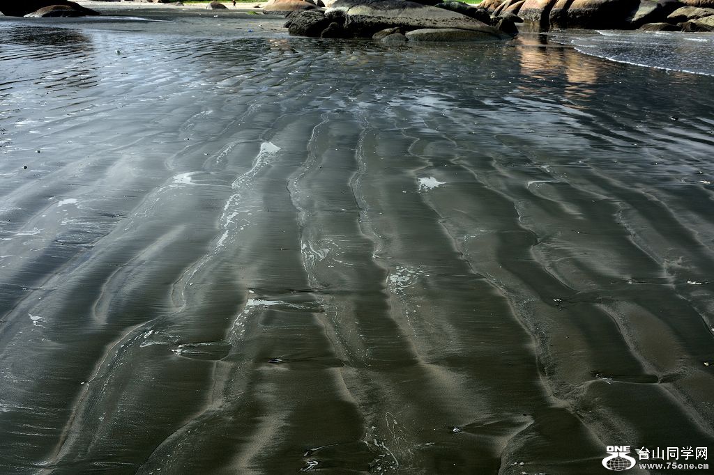 DSC_2827.jpg
