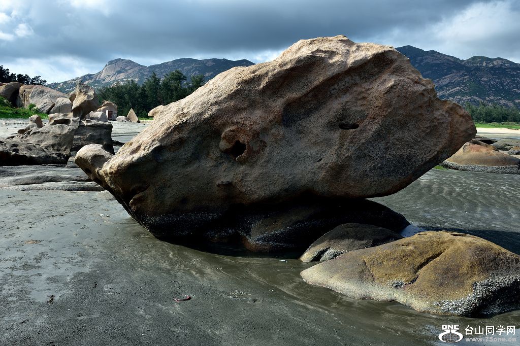 DSC_2834.jpg