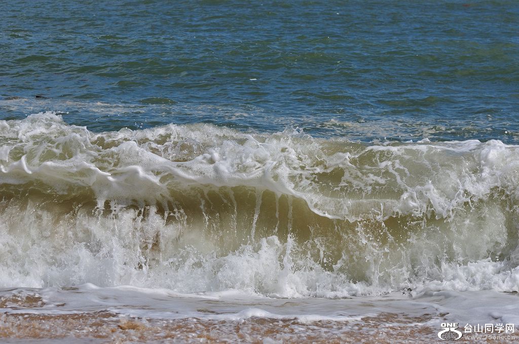 DSC_9577.jpg