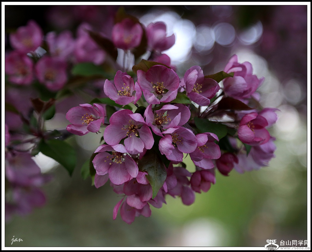 IMG_6091 a.jpg