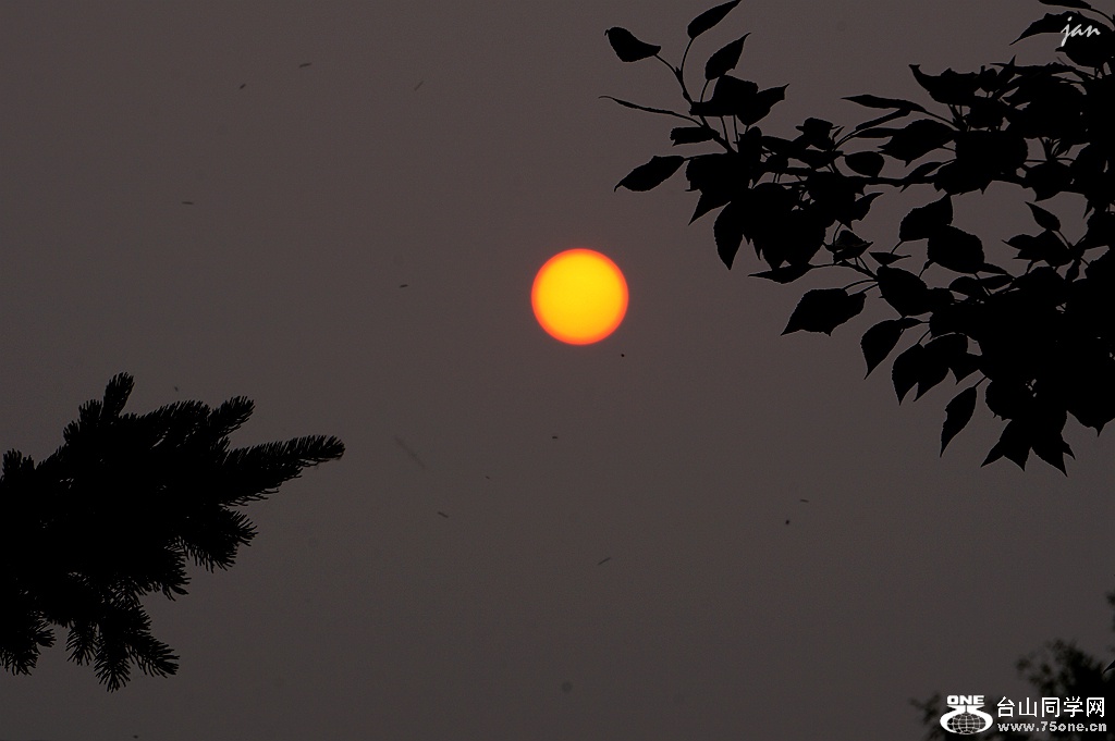 DSC06854.JPG