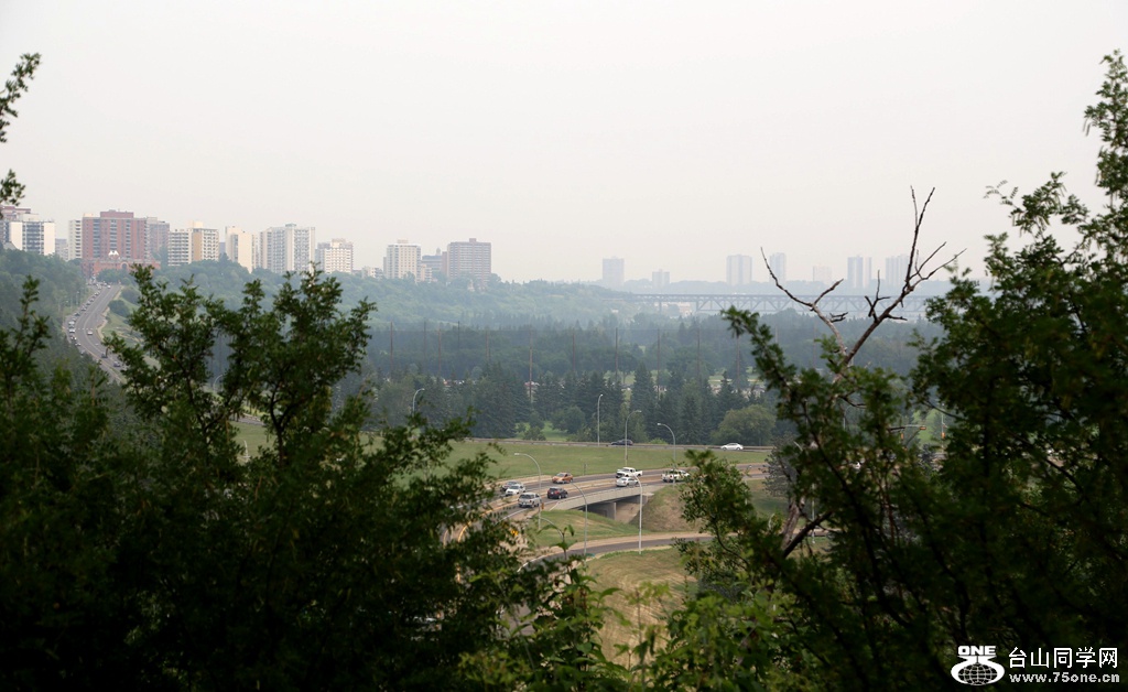IMG_3586.JPG