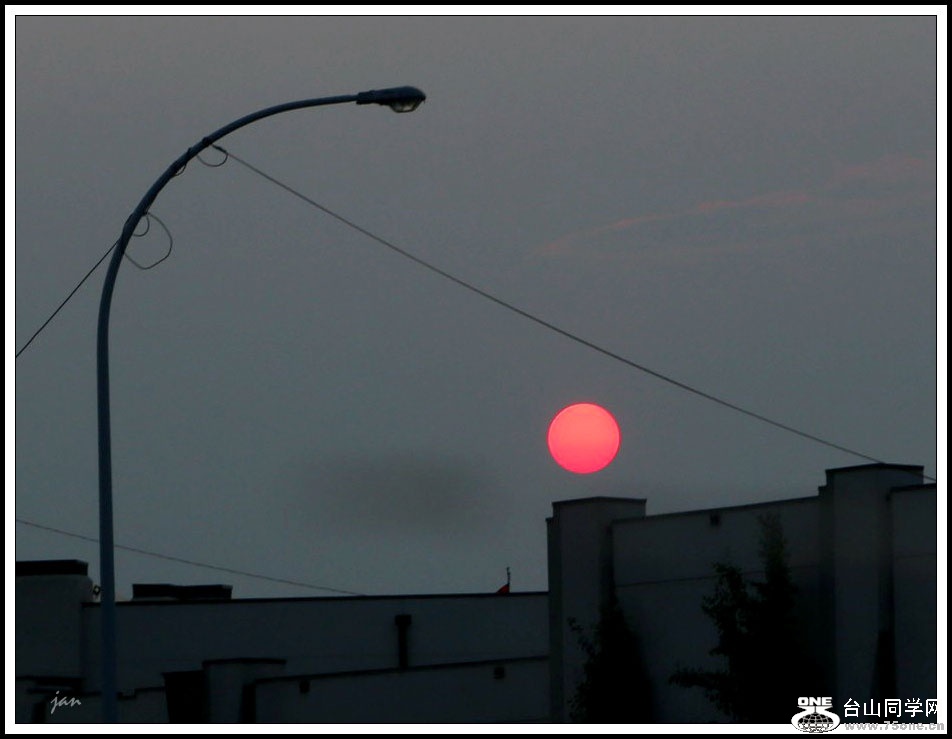 IMG_3594.jpg