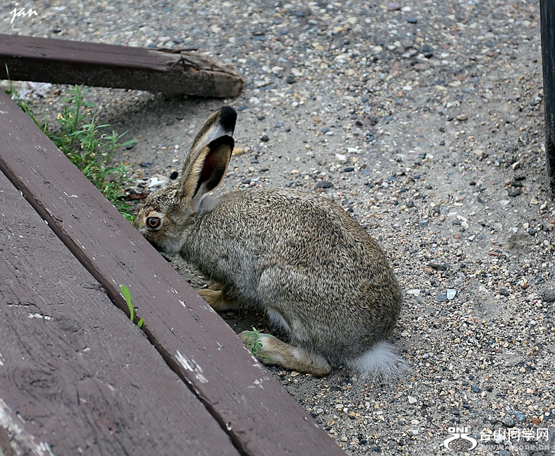 IMG_8392.JPG