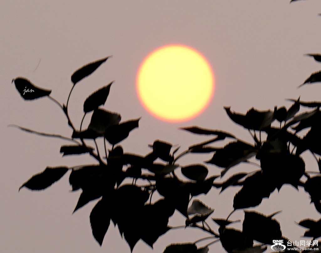 DSC06859_.jpg