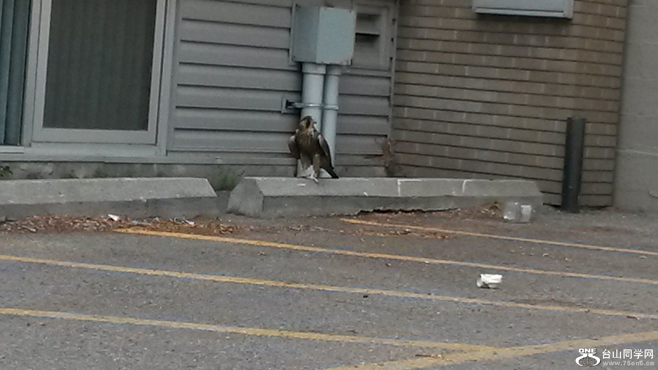 20150713_121608.jpg