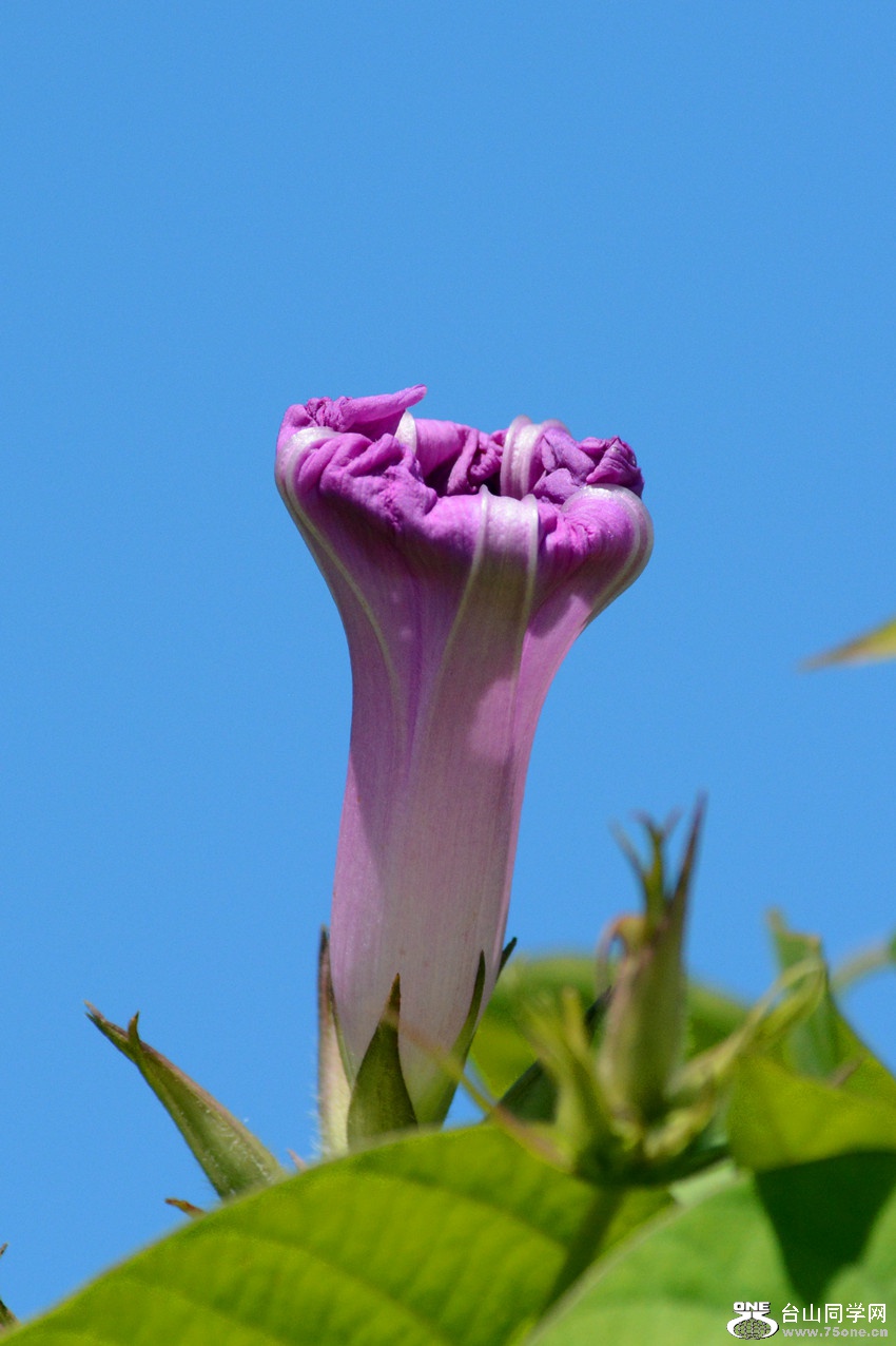DSC_1206_23.jpg