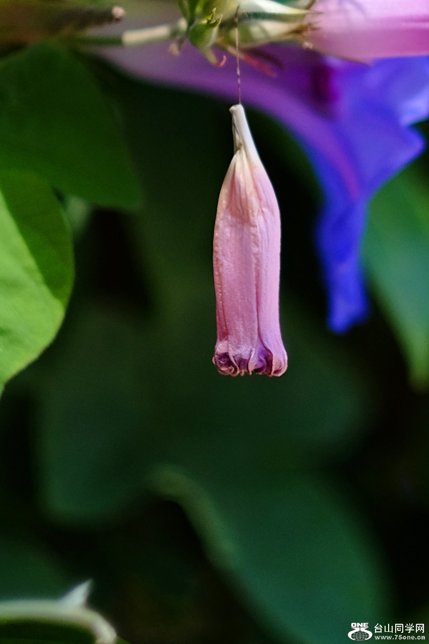 DSCF9963_04.jpg