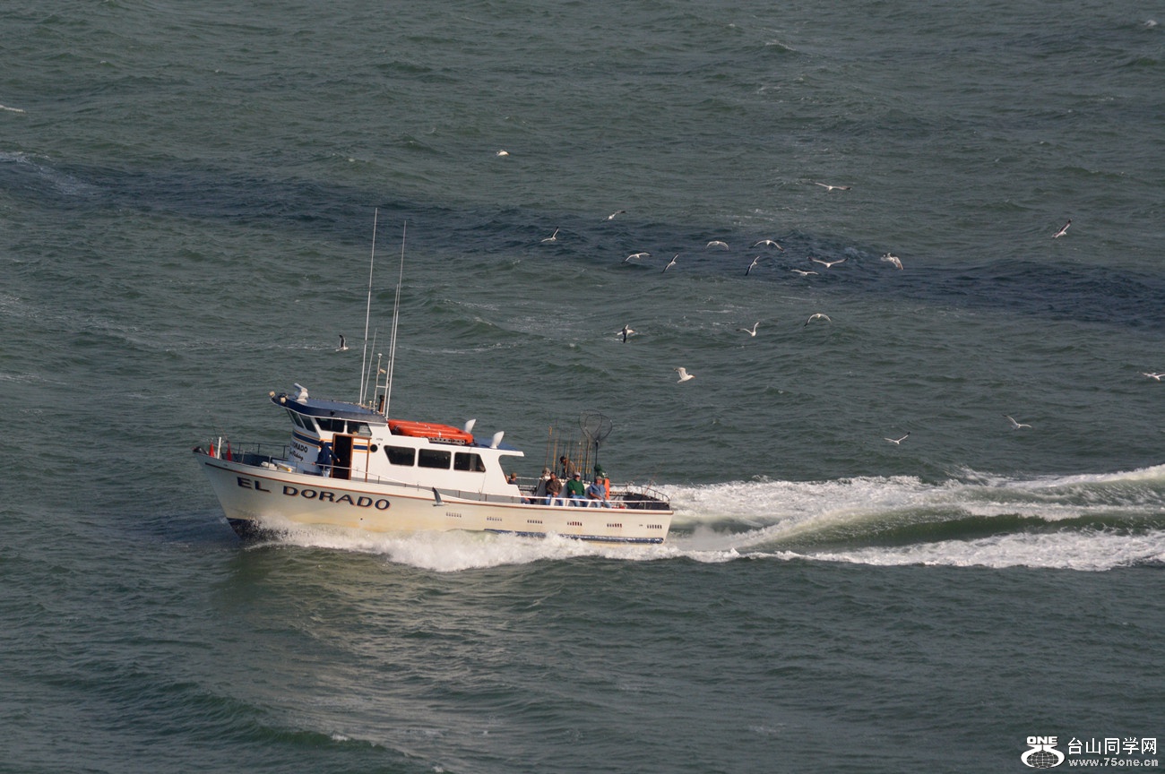 DSC_6310_61.jpg
