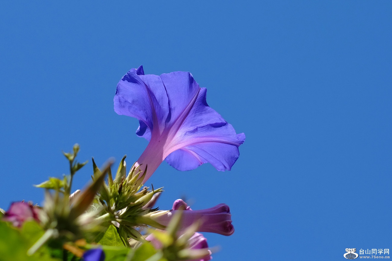DSCF9951_07.jpg