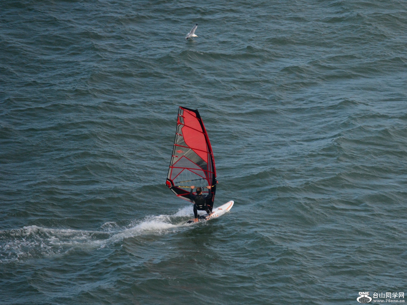 DSC_6792_13.jpg