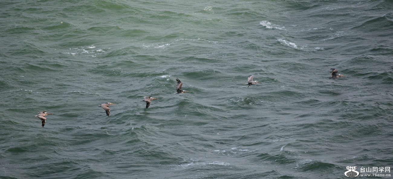 DSC_6751_24.jpg
