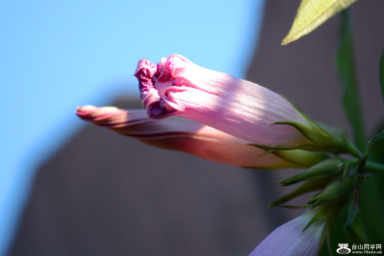 DSC_0899_36.jpg