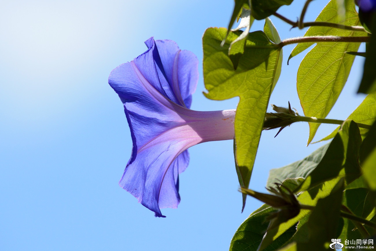 DSC_1210_21.jpg