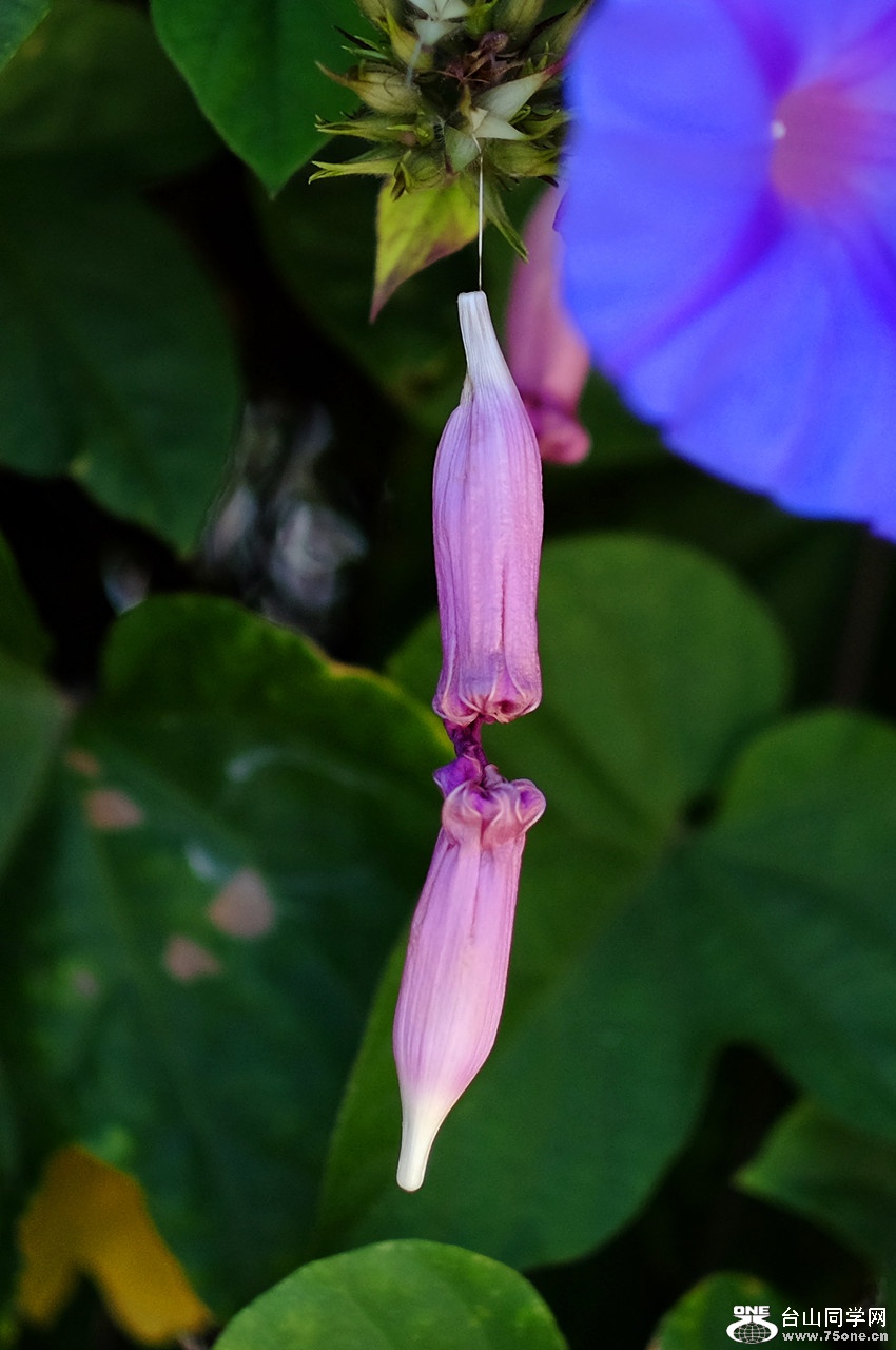 DSCF9982_01.jpg