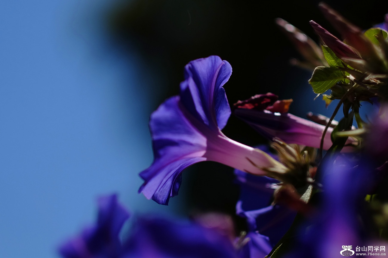DSCF9977_03.jpg