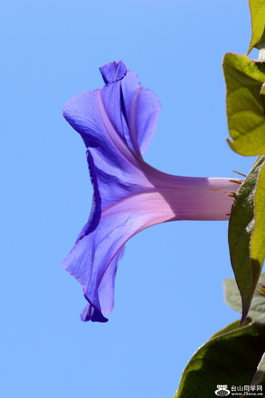 DSC_1209_22.jpg