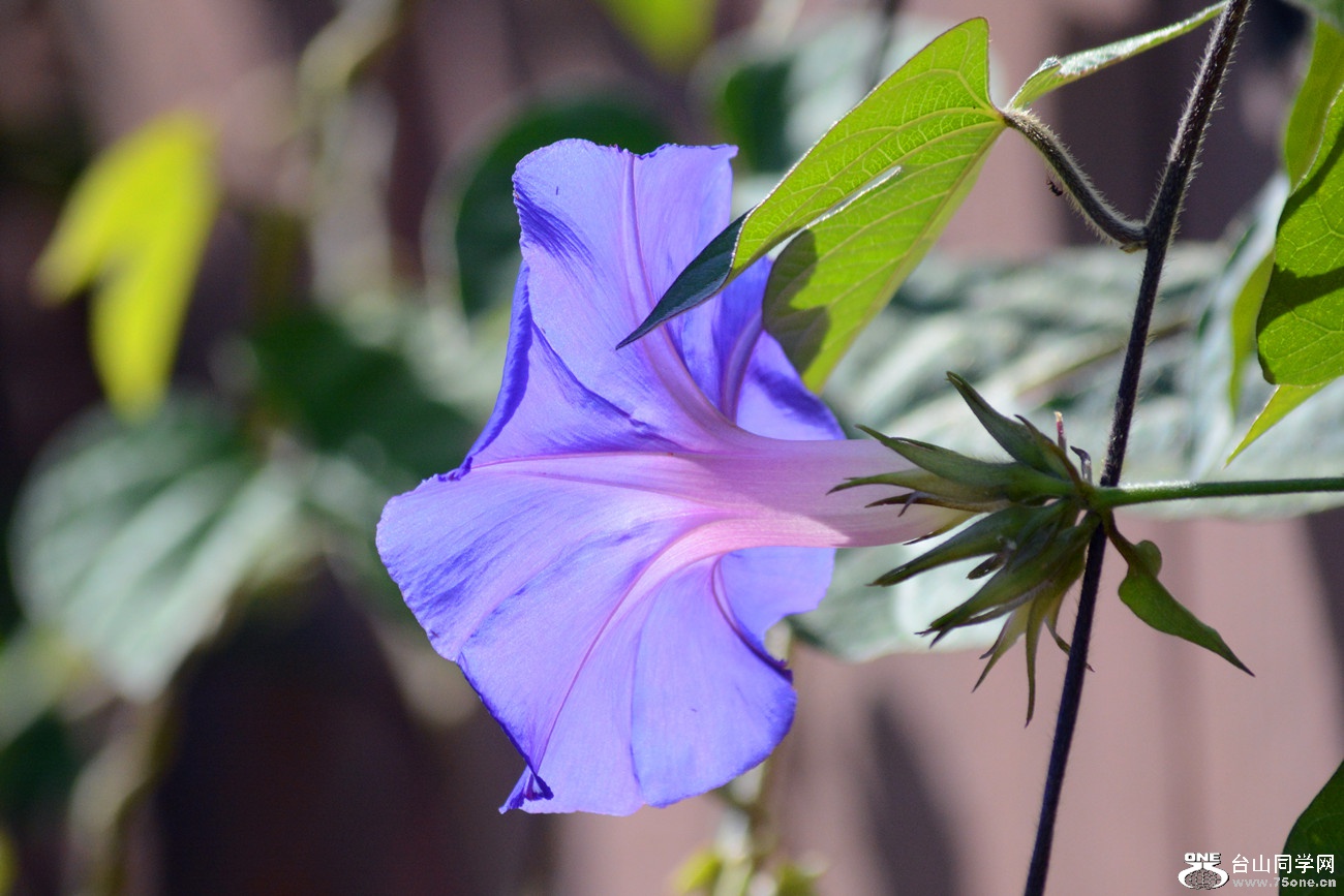 DSC_1174_28.jpg