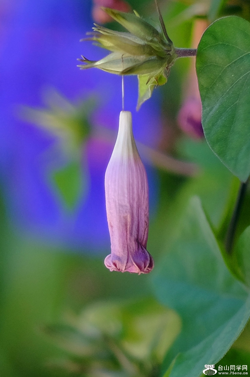 DSCF9973_112.jpg