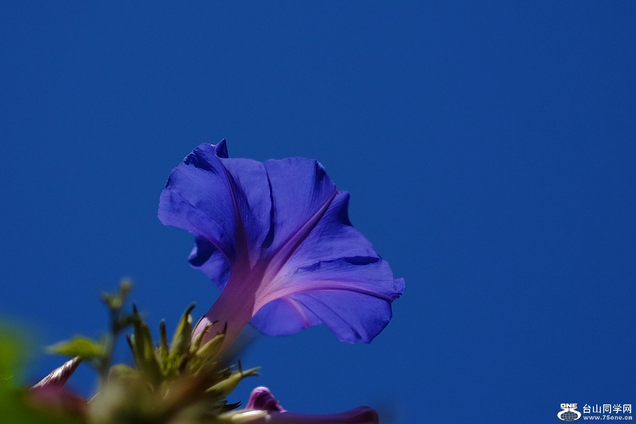 DSCF9949_06.jpg