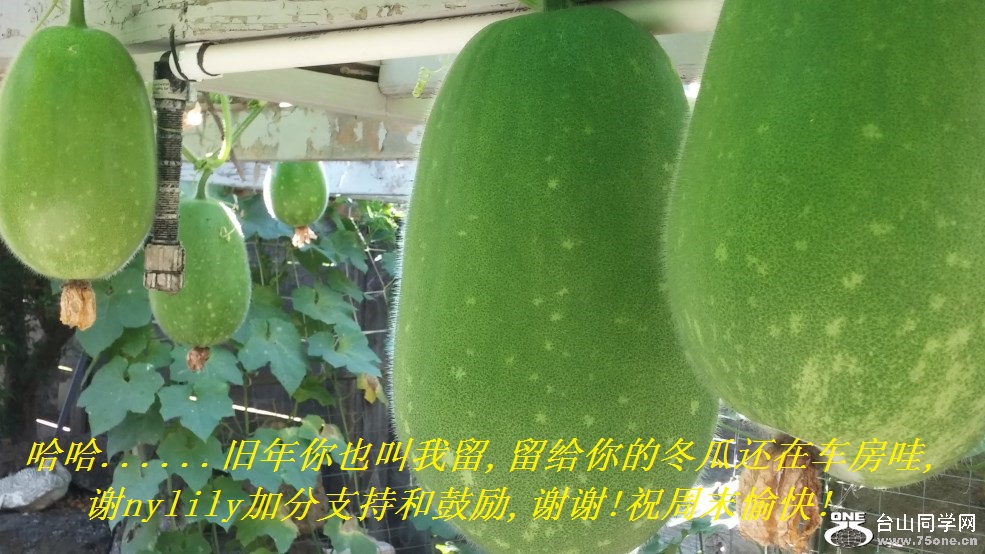 ......Ҳ,Ķϻڳ,лnylilyӷֺ֧͹,лл!ףĩ!.jpg