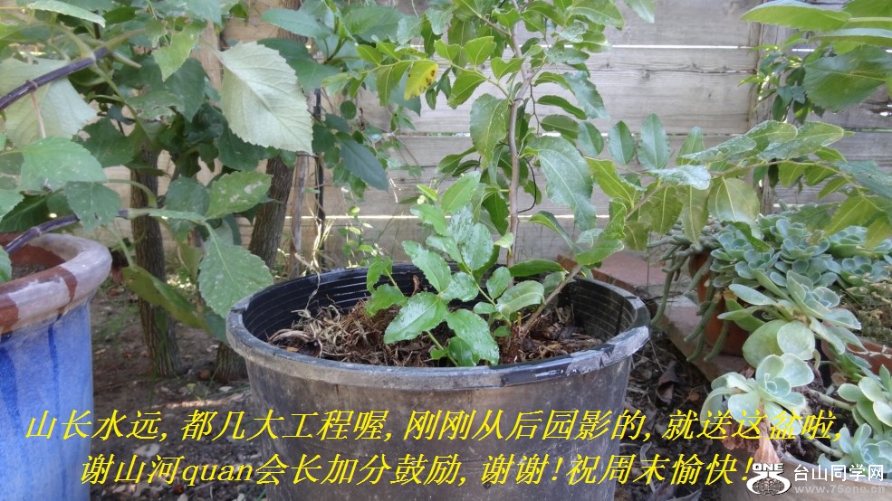 山长水远,都几大工程喔,谢山河quan会长加分支持和鼓励,谢谢!祝周末愉快!.jpg