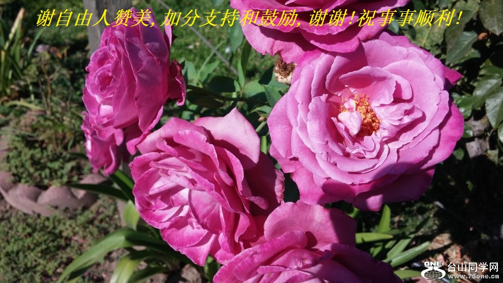 л,ӷֺ֧͹,лл!ף˳!.jpg