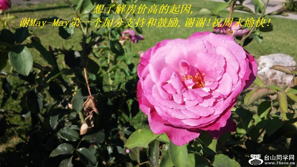 ˽ⷿ۸ߵ,лMay-Mayһӷֺ֧͹,лл!ףĩ!.jpg