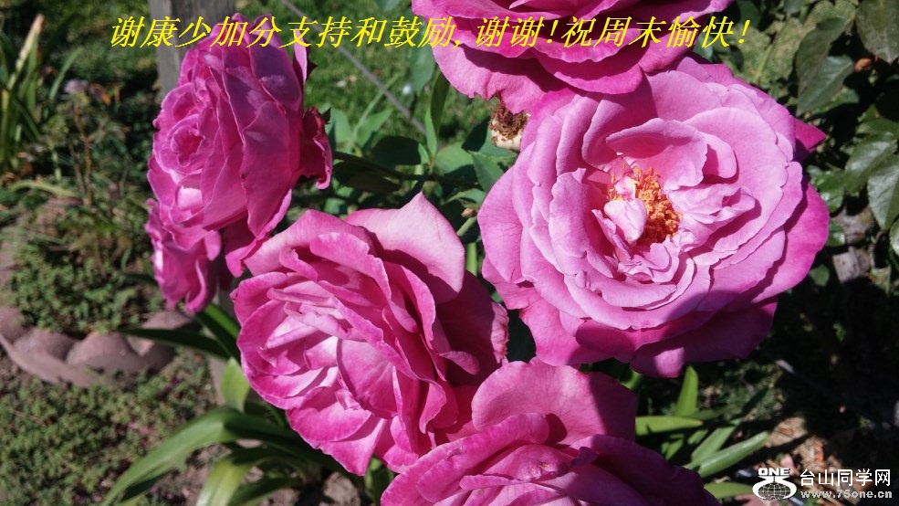 лټӷֺ֧͹,лл!ףĩ!.jpg