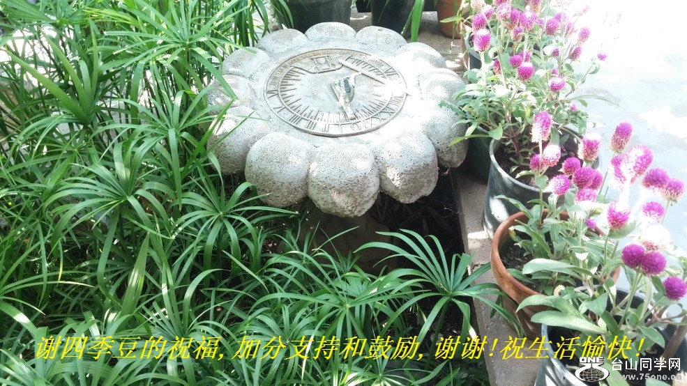 谢四季豆的祝福,加分支持和鼓励,谢谢!祝生活愉快!.jpg