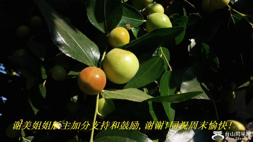 谢美姐姐版主加分支持和鼓励,谢谢!同祝周末愉快!.jpg