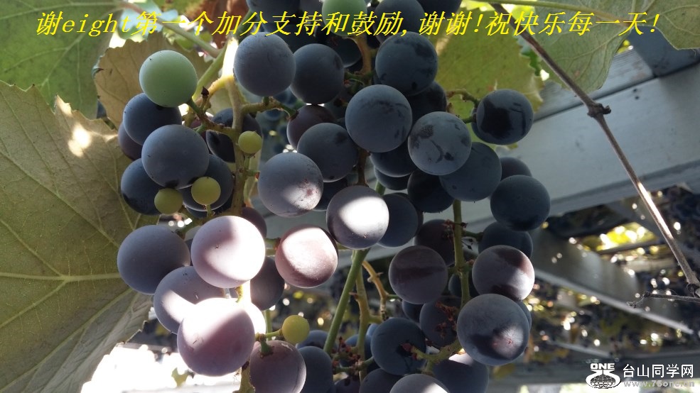 лeightһӷֺ֧͹,лл!ףÿһ!.jpg