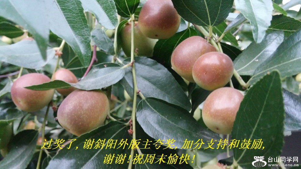 ,лб佱,ӷֺ֧͹,лл!ףĩ!.jpg