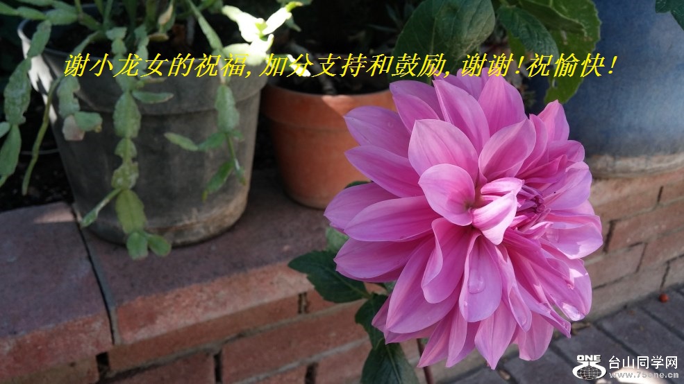 谢小龙女的祝福,加分支持和鼓励,谢谢!祝愉快!.jpg