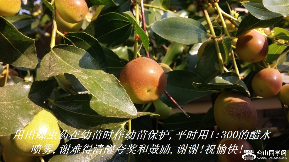 ݳҩʱ籣,ƽʱ1300Ĵˮ,лѵѿ佱͹,лл!ף!.jpg