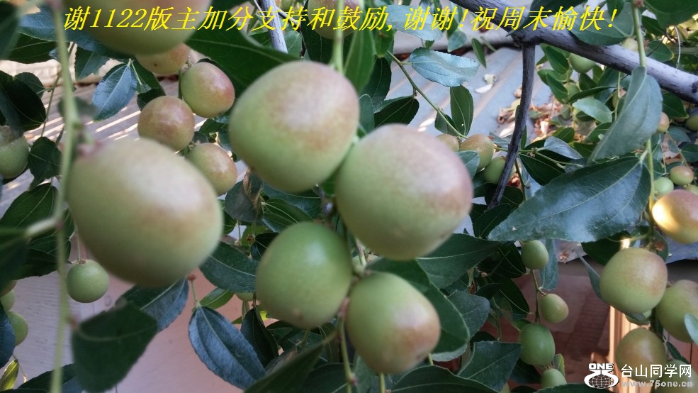 谢1122版主加分支持和鼓励,谢谢!祝周末愉快!.jpg