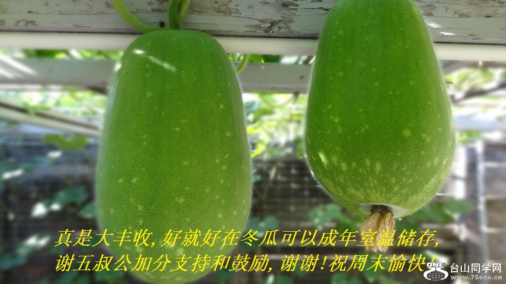 Ǵ,þͺڶϿԳ´,л幫ӷֺ֧͹,лл!ףĩ!.jpg