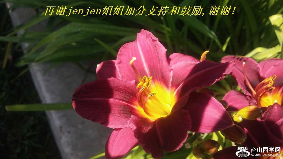 再谢jenjen姐姐加分支持和鼓励,谢谢!.jpg