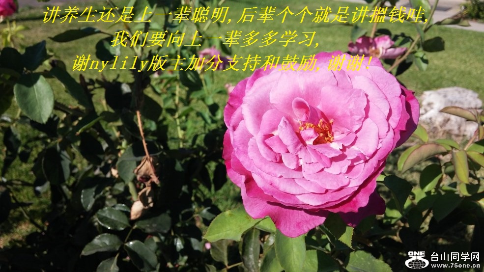 һ,󱲸ǽǮ,Ҫһѧϰ,лnylilyӷֺ֧͹,лл!.j