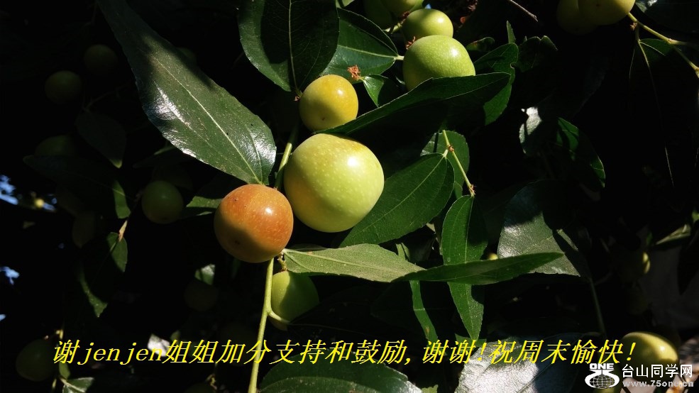 谢jenjen姐姐加分支持和鼓励,谢谢!祝周末愉快!.jpg