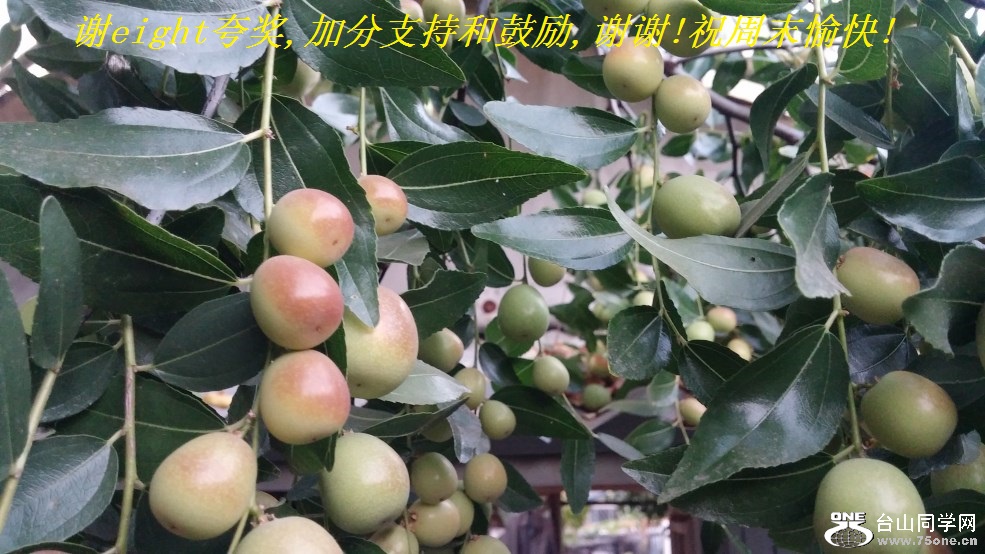 谢eight夸奖,加分支持和鼓励,谢谢!祝周末愉快!.jpg