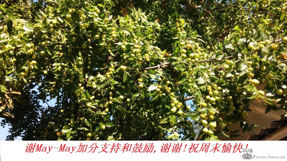 谢May-May加分支持和鼓励,谢谢!祝周末愉快!.jpg