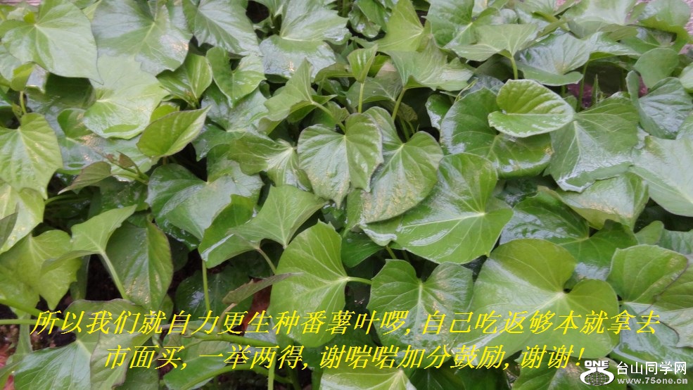 ǾַҶ,ԼԷȥ,һ,лӷֺ֧͹,лл!.jpg