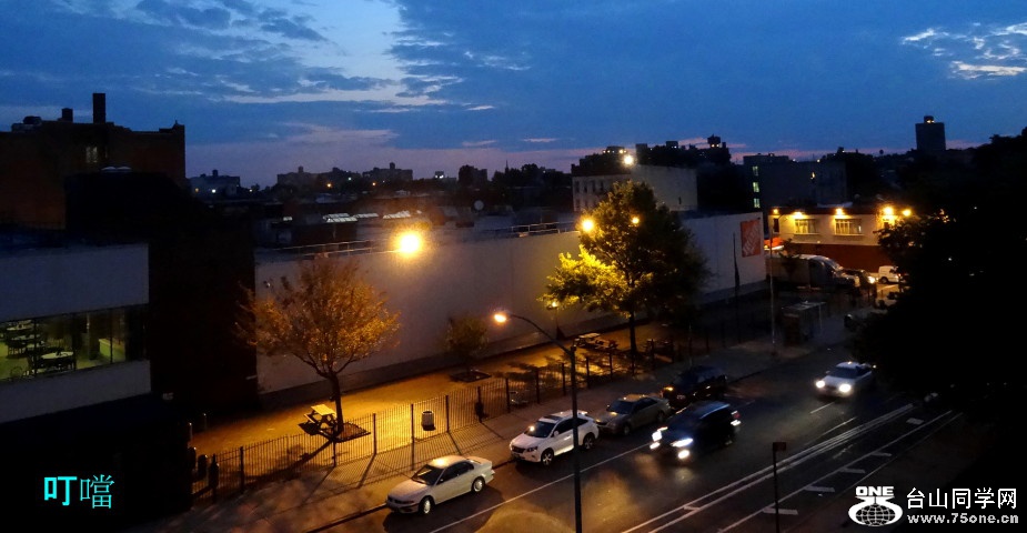DSC08619a_1.jpg