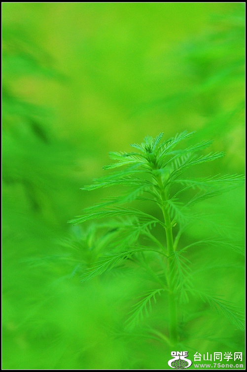 DSC_6414.JPG