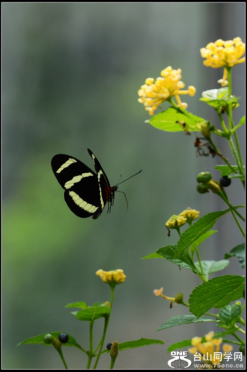 DSC_4173.JPG