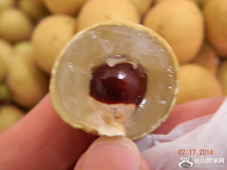 DSCN4361_.jpg